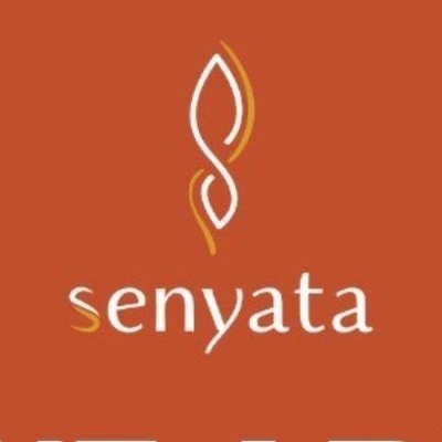 Senyata Senopati