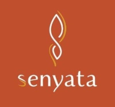 Senyata Senopati